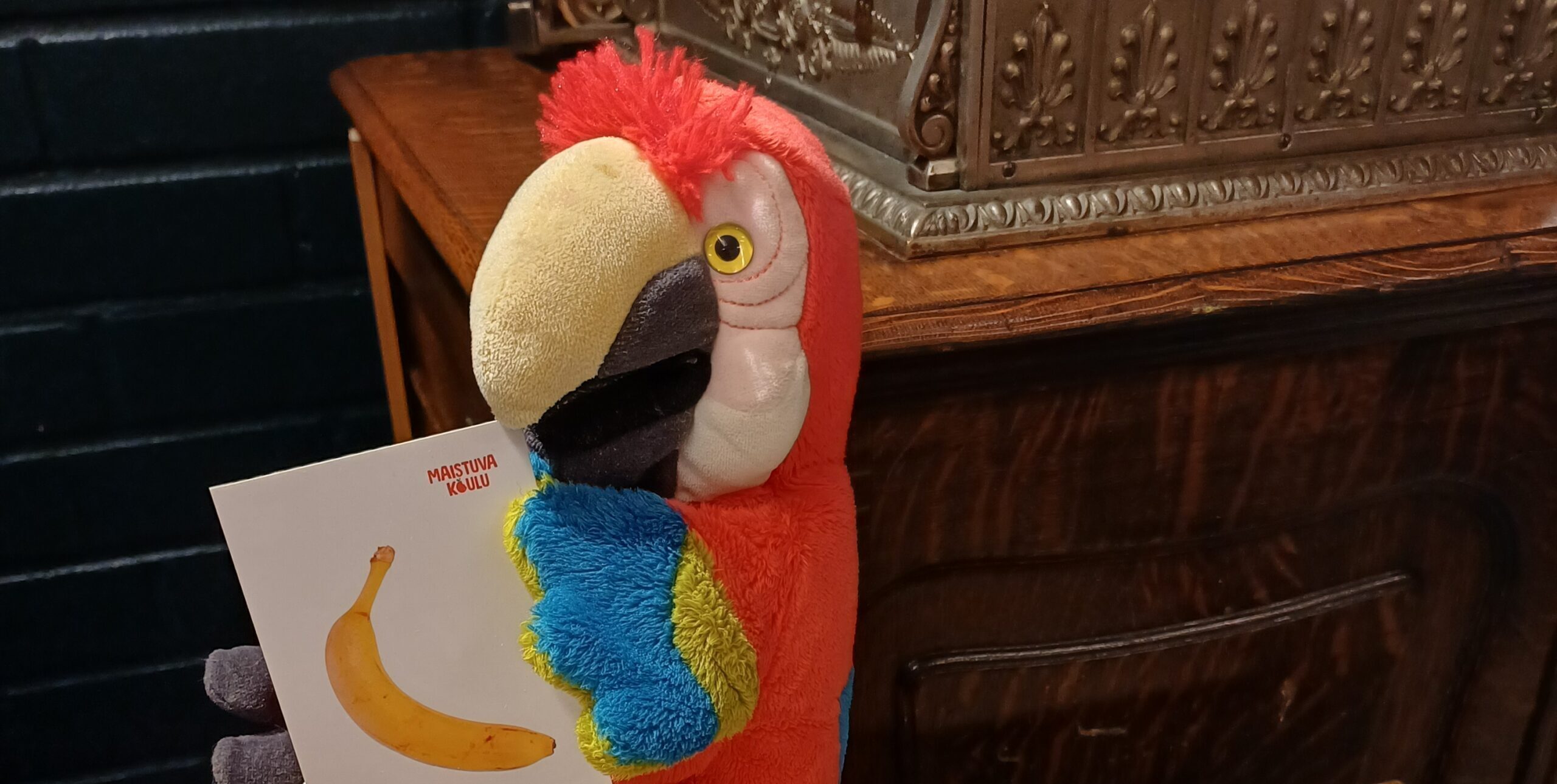 Makukoulu vuonna 2022 syntyneille